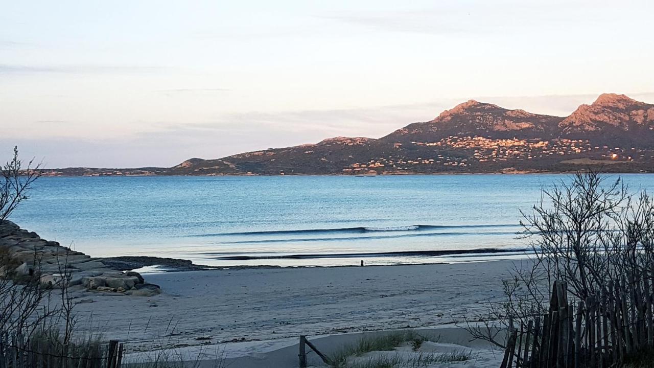 Studio Proche De La Mer Calvi  Kültér fotó